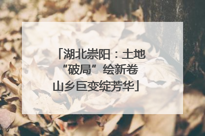 湖北崇阳：土地“破局”绘新卷 山乡巨变绽芳华