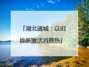 湖北通城：以旧换新激活消费热