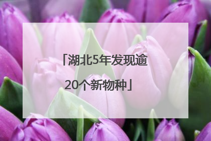 湖北5年发现逾20个新物种