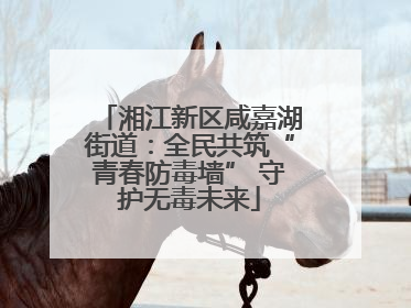 湘江新区咸嘉湖街道：全民共筑“青春防毒墙” 守护无毒未来