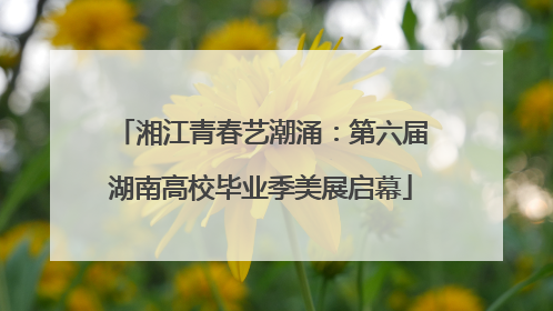 湘江青春艺潮涌：第六届湖南高校毕业季美展启幕