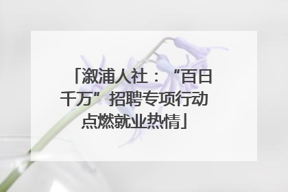 溆浦人社：“百日千万”招聘专项行动点燃就业热情