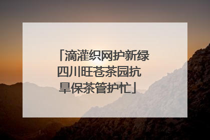滴灌织网护新绿 四川旺苍茶园抗旱保茶管护忙