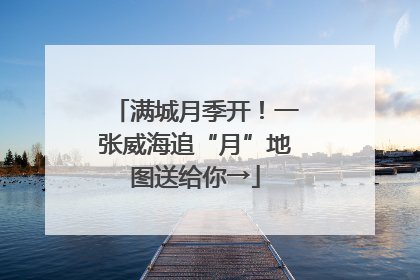 满城月季开！一张威海追“月”地图送给你→