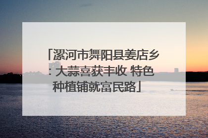 漯河市舞阳县姜店乡：大蒜喜获丰收 特色种植铺就富民路