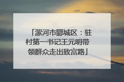 漯河市郾城区：驻村第一书记王元明带领群众走出致富路