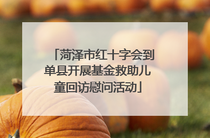 菏泽市红十字会到单县开展基金救助儿童回访慰问活动