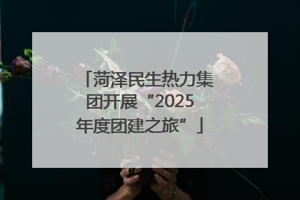 菏泽民生热力集团开展“2025年度团建之旅”