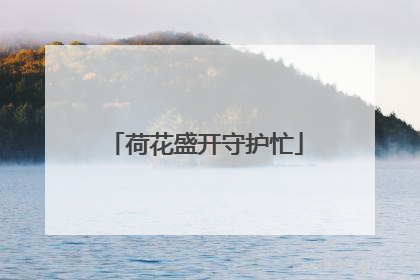 荷花盛开守护忙