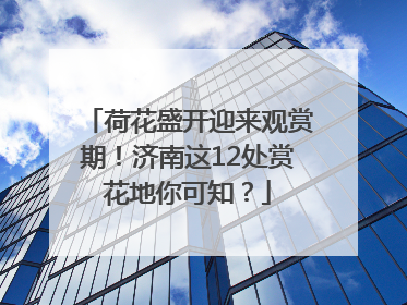 荷花盛开迎来观赏期！济南这12处赏花地你可知？