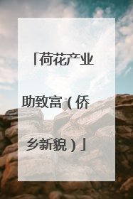 荷花产业助致富（侨乡新貌）
