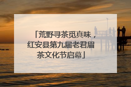 荒野寻茶觅真味，红安县第九届老君眉茶文化节启幕