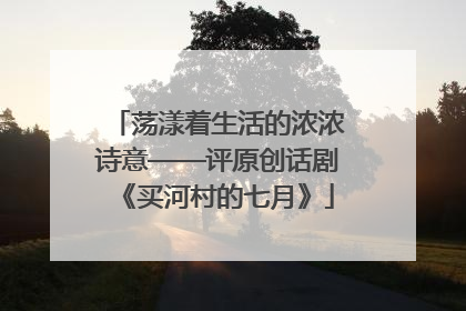 荡漾着生活的浓浓诗意——评原创话剧《买河村的七月》