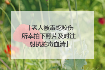 老人被毒蛇咬伤 所幸拍下照片及时注射抗蛇毒血清