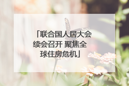 联合国人居大会续会召开 聚焦全球住房危机