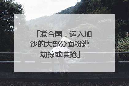 联合国：运入加沙的大部分面粉遭劫掠或哄抢