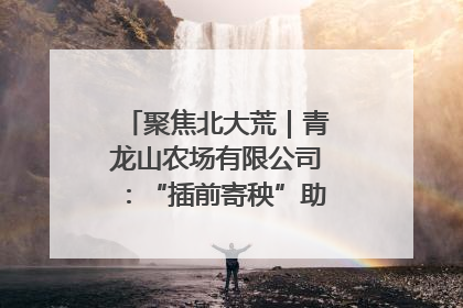 聚焦北大荒｜青龙山农场有限公司：“插前寄秧”助力农业节本增效