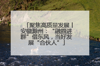 聚焦高质量发展丨安徽滁州：“融圈进群”借东风，当好发展“合伙人”