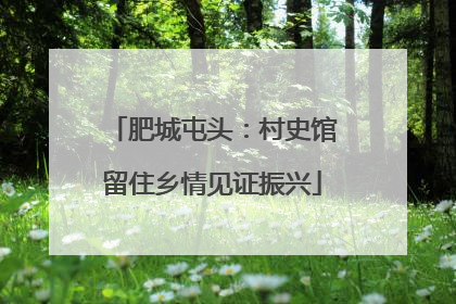 肥城屯头：村史馆留住乡情见证振兴