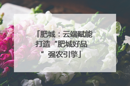 肥城：云端赋能 打造“肥城好品”强农引擎