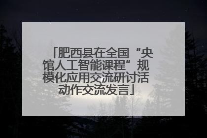 肥西县在全国“央馆人工智能课程”规模化应用交流研讨活动作交流发言