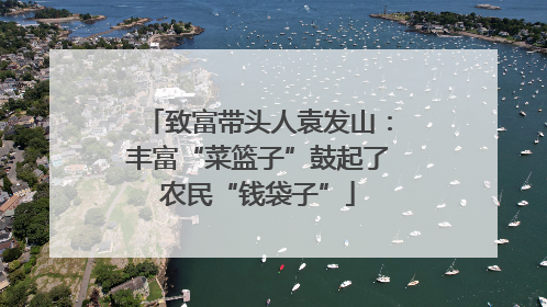 致富带头人袁发山：丰富“菜篮子”鼓起了农民“钱袋子”