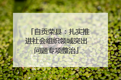 自贡荣县：扎实推进社会组织领域突出问题专项整治