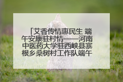 艾香传情惠民生 端午安康驻村情——河南中医药大学驻西峡县寨根乡桑树村工作队端午中医惠民记