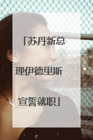 苏丹新总理伊德里斯宣誓就职