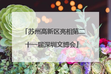 苏州高新区亮相第二十一届深圳文博会