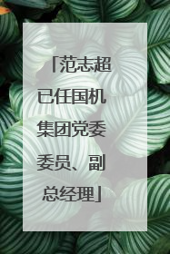 范志超已任国机集团党委委员、副总经理