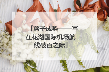 落子成势——写在花湖国际机场航线破百之际