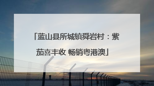 蓝山县所城镇舜岩村：紫茄喜丰收 畅销粤港澳