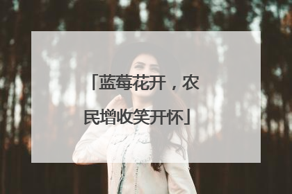 蓝莓花开，农民增收笑开怀