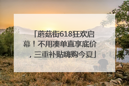 蘑菇街618狂欢启幕！不用凑单直享底价，三重补贴嗨购今夏