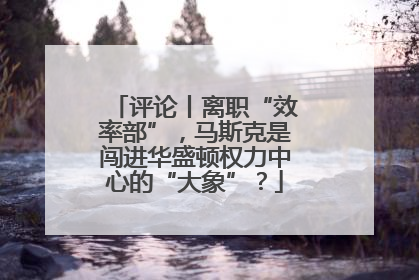 评论丨离职“效率部”，马斯克是闯进华盛顿权力中心的“大象”？