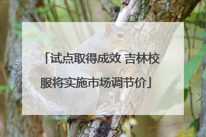 试点取得成效 吉林校服将实施市场调节价