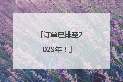 订单已排至2029年！