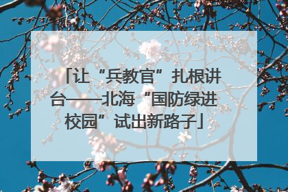 让“兵教官”扎根讲台——北海“国防绿进校园”试出新路子