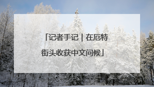 记者手记｜在厄特街头收获中文问候