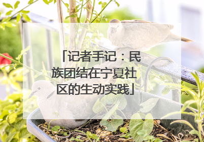 记者手记：民族团结在宁夏社区的生动实践