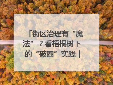 街区治理有“魔法”？看梧桐树下的“破圈”实践｜我在街区当书记