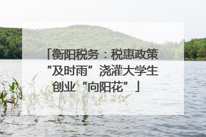 衡阳税务：税惠政策“及时雨”浇灌大学生创业“向阳花”