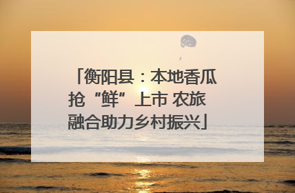 衡阳县：本地香瓜抢“鲜”上市 农旅融合助力乡村振兴