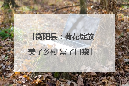 衡阳县：荷花绽放 美了乡村 富了口袋