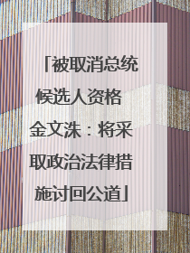 被取消总统候选人资格 金文洙：将采取政治法律措施讨回公道