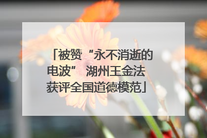 被赞“永不消逝的电波” 湖州王金法获评全国道德模范