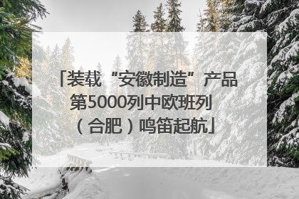 装载“安徽制造”产品 第5000列中欧班列（合肥）鸣笛起航