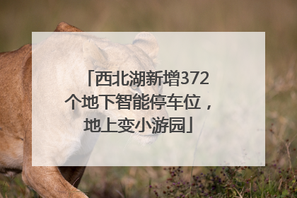 西北湖新增372个地下智能停车位，地上变小游园