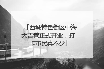 西城特色街区中海大吉巷正式开业，打卡市民真不少